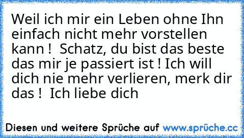 Weil ich mir ein Leben ohne Ihn einfach nicht mehr vorstellen kann !  Schatz, du bist das beste das mir je passiert ist ! Ich will dich nie mehr verlieren, merk dir das !  Ich liebe dich ♥