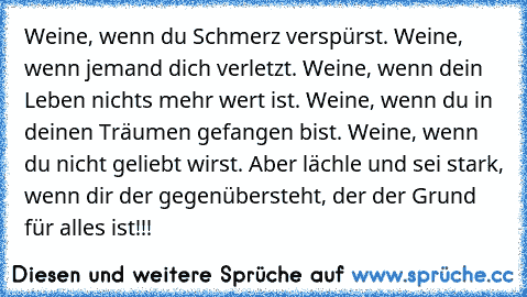 Weine, wenn du Schmerz verspürst. Weine, wenn jemand dich verletzt. Weine, wenn dein Leben nichts mehr wert ist. Weine, wenn du in deinen Träumen gefangen bist. Weine, wenn du nicht geliebt wirst. Aber lächle und sei stark, wenn dir der gegenübersteht, der der Grund für alles ist!!! ♥