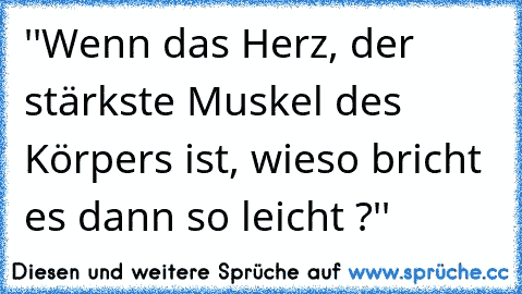 ''Wenn das Herz, der stärkste Muskel des Körpers ist, wieso bricht es dann so leicht ?''