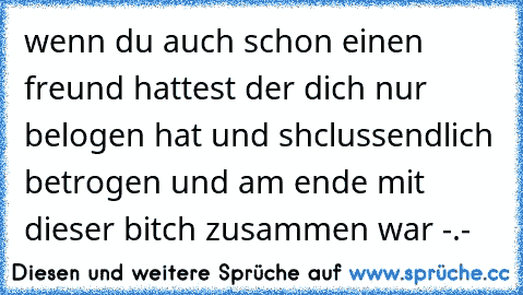 wenn du auch schon einen freund hattest der dich nur belogen hat und shclussendlich betrogen und am ende mit dieser bitch zusammen war -.-