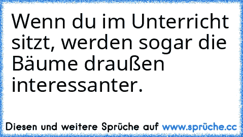 Wenn du im Unterricht sitzt, werden sogar die Bäume draußen interessanter.