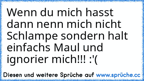 Wenn du mich hasst dann nenn mich nicht Schlampe sondern halt einfachs Maul und ignorier mich!!! :'(