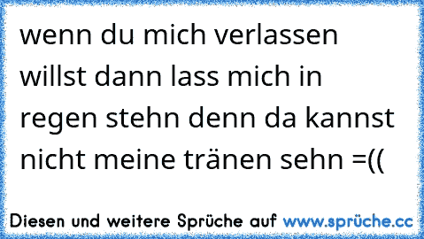 wenn du mich verlassen willst dann lass mich in regen stehn denn da kannst nicht meine tränen sehn =((