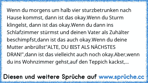 Wenn du morgens um halb vier sturzbetrunken nach Hause kommst, dann ist das okay.
Wenn du Sturm klingelst, dann ist das okay.
Wenn du dann ins Schlafzimmer stürmst und deinen Vater als Zuhälter beschimpfst,
dann ist das auch okay.
Wenn du deine Mutter anbrüllst
"ALTE, DU BIST ALS NÄCHSTES DRAN!",
dann ist das vielleicht auch noch okay.
Aber,
wenn du ins Wohnzimmer gehst,
auf den Teppich kackst,...