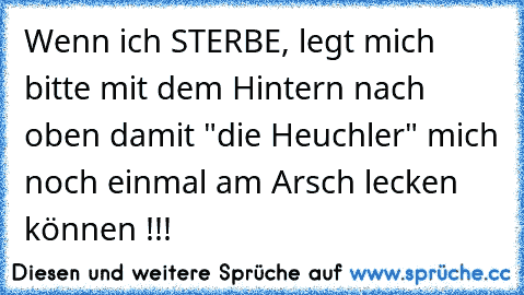 Wenn ich STERBE, legt mich bitte mit dem Hintern nach oben damit "die Heuchler" mich noch einmal am Arsch lecken können !!!