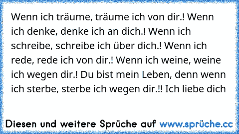 Wenn ich träume, träume ich von dir.! Wenn ich denke, denke ich an dich.! Wenn ich schreibe, schreibe ich über dich.! Wenn ich rede, rede ich von dir.! Wenn ich weine, weine ich wegen dir.! Du bist mein Leben, denn wenn ich sterbe, sterbe ich wegen dir.!! Ich liebe dich 