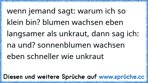 wenn jemand sagt: warum ich so klein bin? blumen wachsen eben langsamer als unkraut, dann sag ich: na und? sonnenblumen wachsen eben schneller wie unkraut