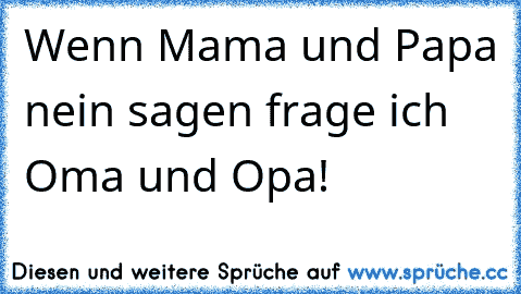 Wenn Mama und Papa nein sagen frage ich Oma und Opa!