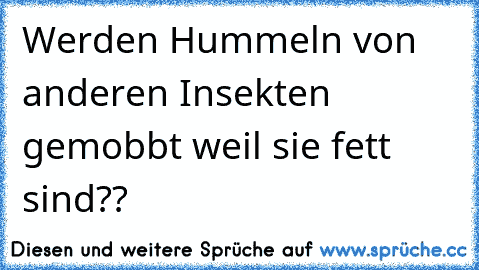 Werden Hummeln von anderen Insekten gemobbt weil sie fett sind??