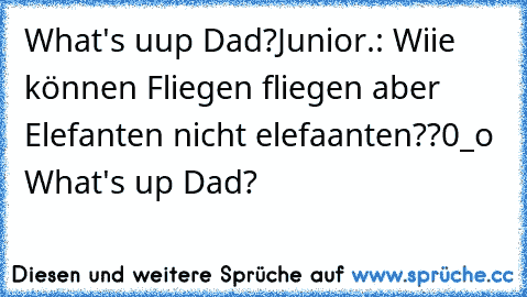 What's uup Dad?
Junior.: Wiie können Fliegen fliegen aber Elefanten nicht elefaanten??
0_o
♥ What's up Dad? ♥