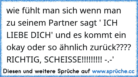 wie fühlt man sich wenn man zu seinem Partner sagt ' ICH LIEBE DICH' und es kommt ein okay oder so ähnlich zurück???? 
RICHTIG, SCHEISSE!!!!!!!!! -.-'