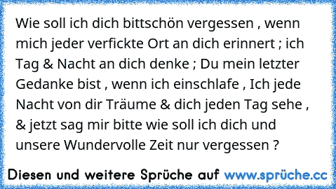 Wie soll ich dich bittschön vergessen , wenn mich jeder verfickte Ort an dich erinnert ; ich Tag & Nacht an dich denke ; Du mein letzter Gedanke bist , wenn ich einschlafe , Ich jede Nacht von dir Träume & dich jeden Tag sehe , & jetzt sag mir bitte wie soll ich dich und unsere Wundervolle Zeit nur vergessen ? ♥