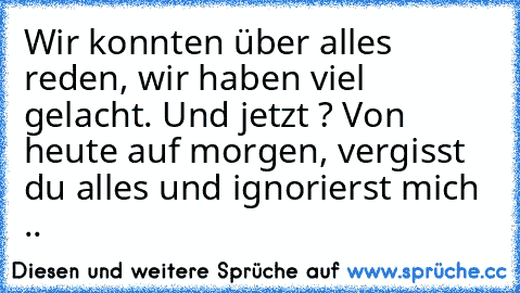 Wir konnten über alles reden, wir haben viel gelacht. Und jetzt ? Von heute auf morgen, vergisst du alles und ignorierst mich ..