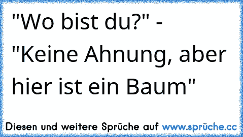 "Wo bist du?" - "Keine Ahnung, aber hier ist ein Baum"