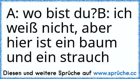 A: wo bist du?
B: ich weiß nicht, aber hier ist ein baum und ein strauch