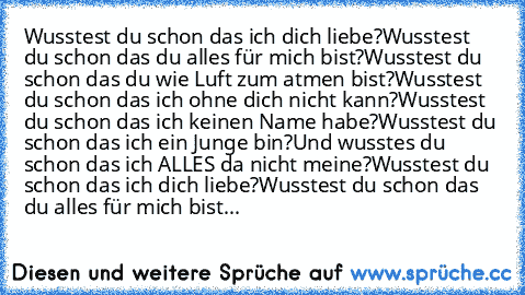 Wusstest du schon das ich dich liebe?
Wusstest du schon das du alles für mich bist?
Wusstest du schon das du wie Luft zum atmen bist?
Wusstest du schon das ich ohne dich nicht kann?
Wusstest du schon das ich keinen Name habe?
Wusstest du schon das ich ein Junge bin?
Und wusstes du schon das ich ALLES da nicht meine?
Wusstest du schon das ich dich liebe?
Wusstest du schon das du alles für mich b...