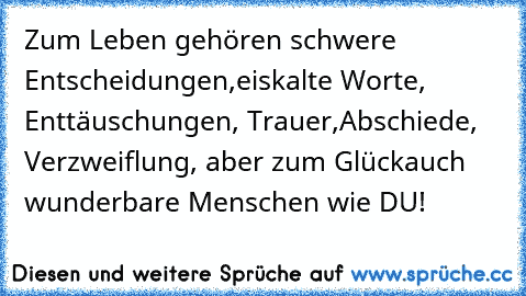 Zum Leben gehören schwere Entscheidungen,
eiskalte Worte, Enttäuschungen, Trauer,
Abschiede, Verzweiflung, aber zum Glück
auch wunderbare Menschen wie DU!