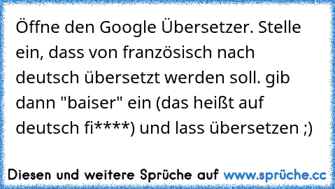 Öffne den Google Übersetzer. Stelle ein, dass von französisch nach deutsch übersetzt werden soll. gib dann "baiser" ein (das heißt auf deutsch fi****) und lass übersetzen ;)