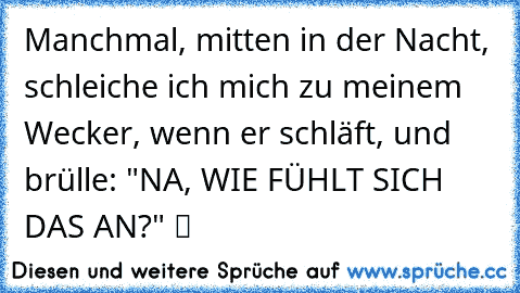 ☆Manchmal, mitten in der Nacht, schleiche ich mich zu meinem Wecker, wenn er schläft, und brülle: "NA, WIE FÜHLT SICH DAS AN?" ツ ☆