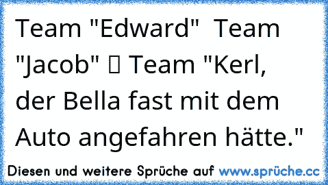 ❒ Team "Edward" ❒ Team "Jacob" ✔ Team "Kerl, der Bella fast mit dem Auto angefahren hätte."