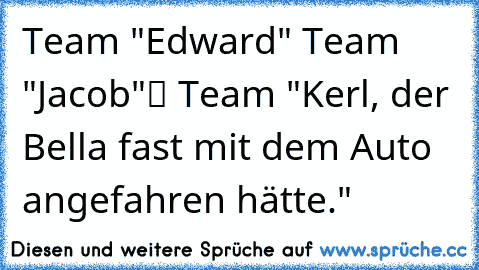 ❒ Team "Edward"
❒ Team "Jacob"
✔ Team "Kerl, der Bella fast mit dem Auto angefahren hätte."